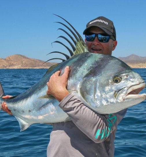 Tony Orton Tony Orton